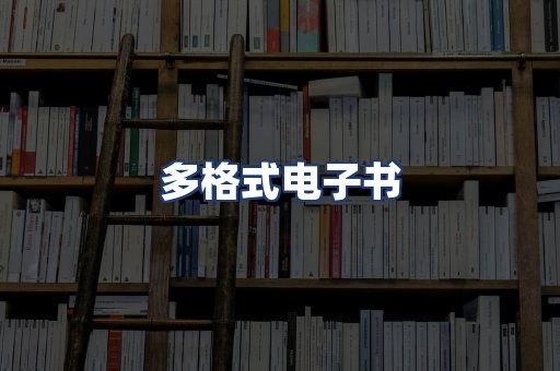 多格式电子书